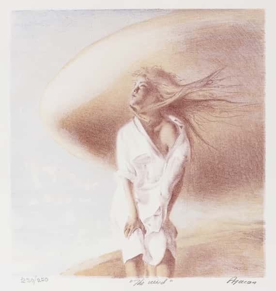 The Wind av Eser Afacan