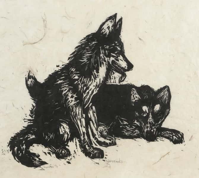 Hunder av Bjørn Kaaks