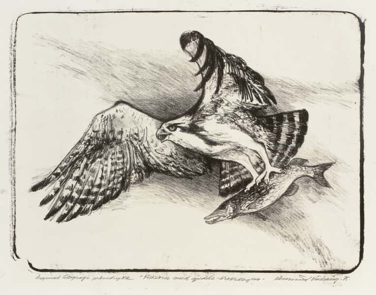 Fiskeren med gjedde av Vemund Vinhaug