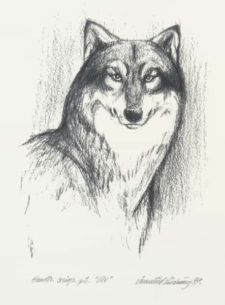 Ulv av Vemund Vinhaug