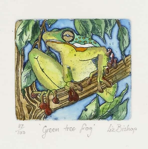 Green tree frog av Liz Bishop